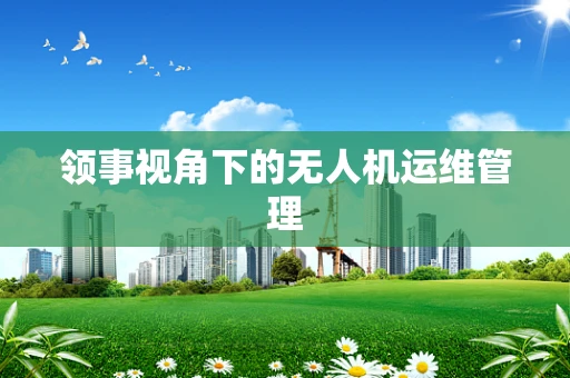 领事视角下的无人机运维管理