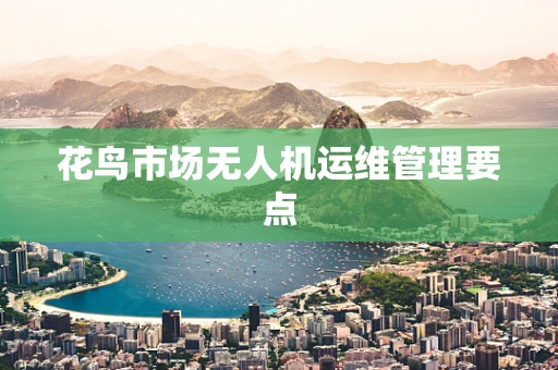 花鸟市场无人机运维管理要点