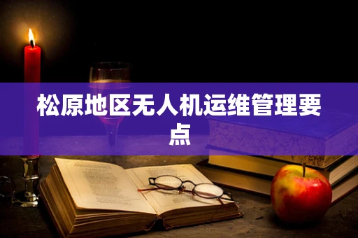 松原地区无人机运维管理要点