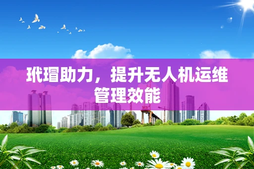 玳瑁助力，提升无人机运维管理效能