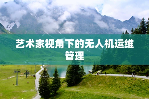艺术家视角下的无人机运维管理