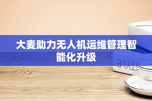 大麦助力无人机运维管理智能化升级