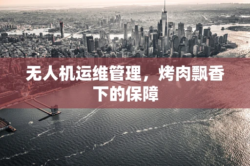 无人机运维管理，烤肉飘香下的保障