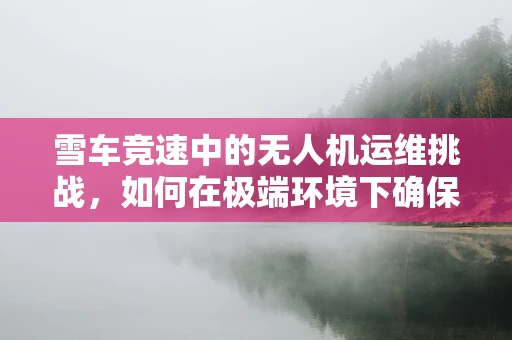 雪车竞速中的无人机运维挑战，如何在极端环境下确保精准追踪？