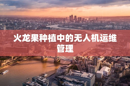 火龙果种植中的无人机运维管理