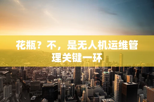 花瓶？不，是无人机运维管理关键一环