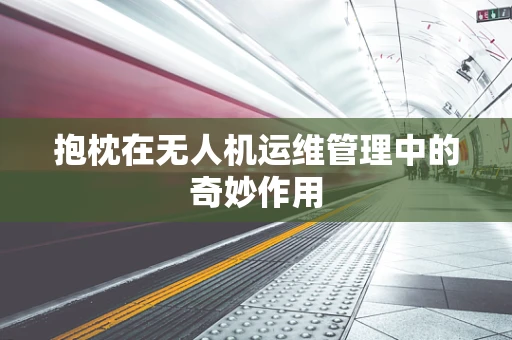 抱枕在无人机运维管理中的奇妙作用
