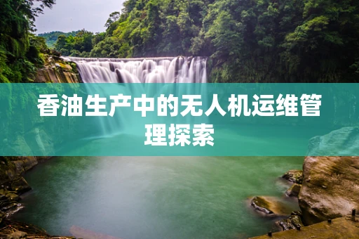 香油生产中的无人机运维管理探索