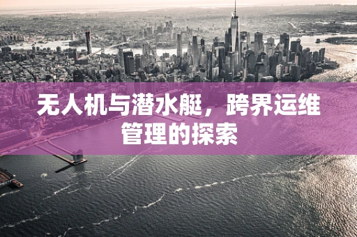 无人机与潜水艇，跨界运维管理的探索