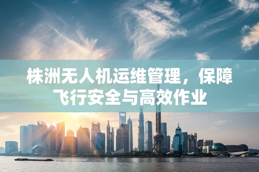株洲无人机运维管理，保障飞行安全与高效作业