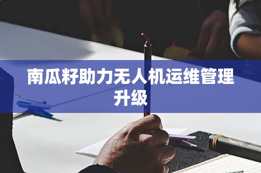 南瓜籽助力无人机运维管理升级