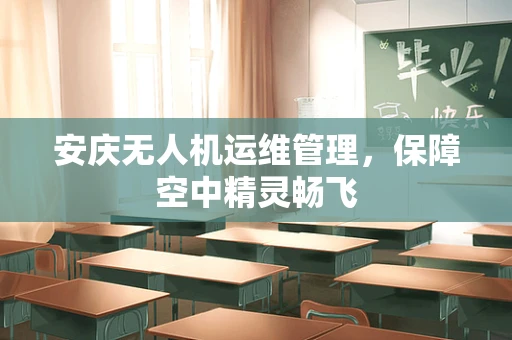 安庆无人机运维管理，保障空中精灵畅飞