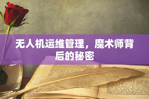无人机运维管理，魔术师背后的秘密