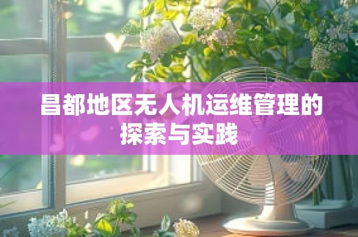 昌都地区无人机运维管理的探索与实践