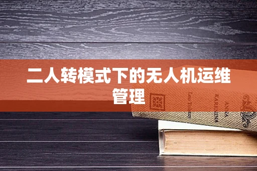 二人转模式下的无人机运维管理