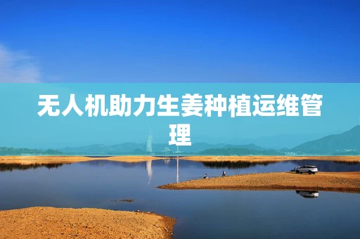 无人机助力生姜种植运维管理