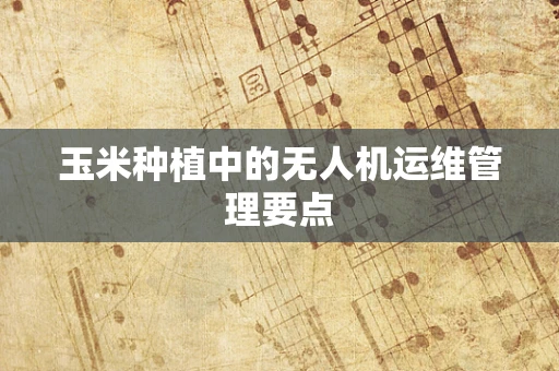 玉米种植中的无人机运维管理要点