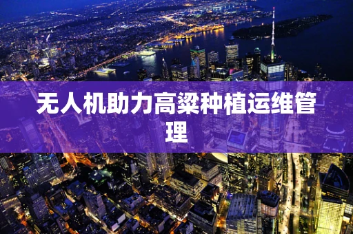 无人机助力高粱种植运维管理