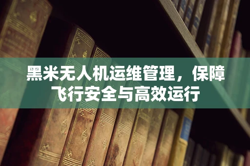 黑米无人机运维管理，保障飞行安全与高效运行