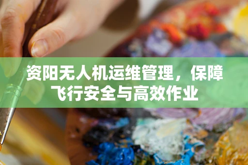 资阳无人机运维管理，保障飞行安全与高效作业