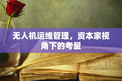无人机运维管理，资本家视角下的考量