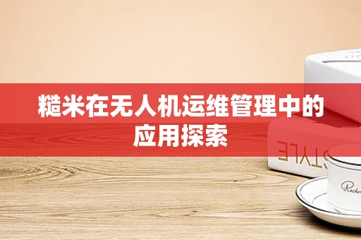 糙米在无人机运维管理中的应用探索