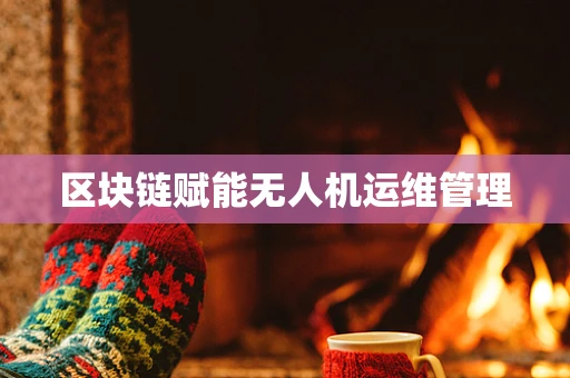 区块链赋能无人机运维管理