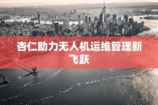 杏仁助力无人机运维管理新飞跃