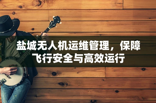 盐城无人机运维管理，保障飞行安全与高效运行