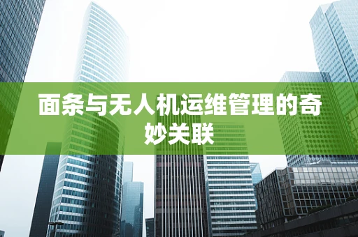 面条与无人机运维管理的奇妙关联