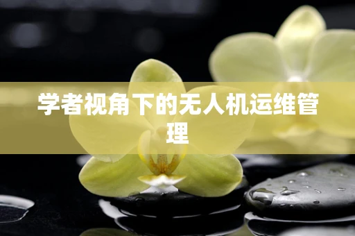 学者视角下的无人机运维管理