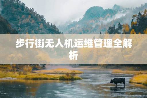 步行街无人机运维管理全解析