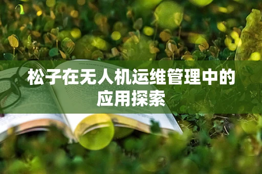 松子在无人机运维管理中的应用探索