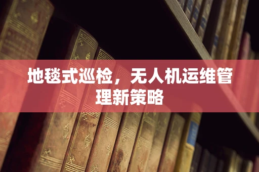 地毯式巡检，无人机运维管理新策略