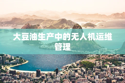大豆油生产中的无人机运维管理