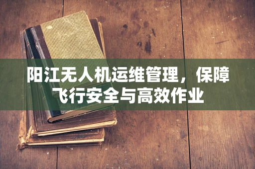 阳江无人机运维管理，保障飞行安全与高效作业