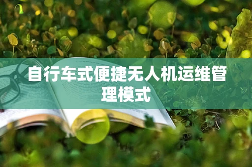 自行车式便捷无人机运维管理模式