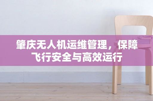 肇庆无人机运维管理，保障飞行安全与高效运行