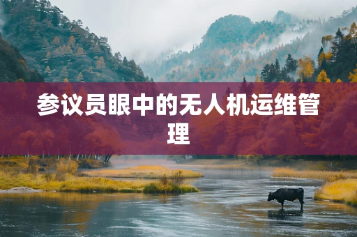 参议员眼中的无人机运维管理