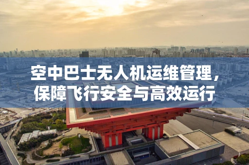 空中巴士无人机运维管理，保障飞行安全与高效运行