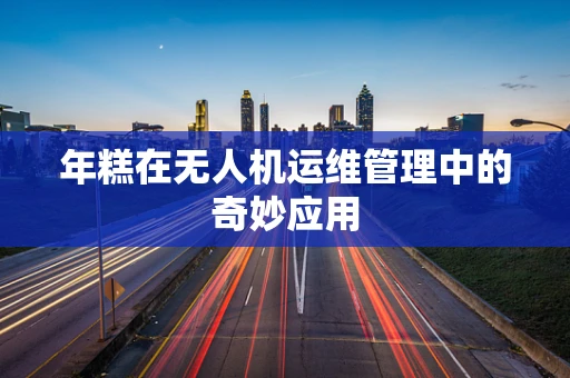 年糕在无人机运维管理中的奇妙应用