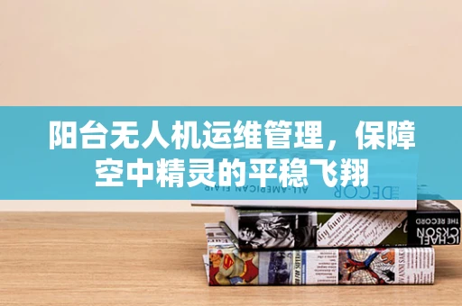 阳台无人机运维管理，保障空中精灵的平稳飞翔