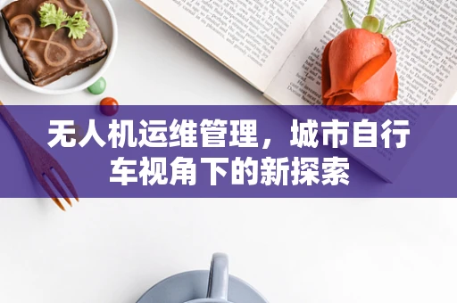 无人机运维管理，城市自行车视角下的新探索