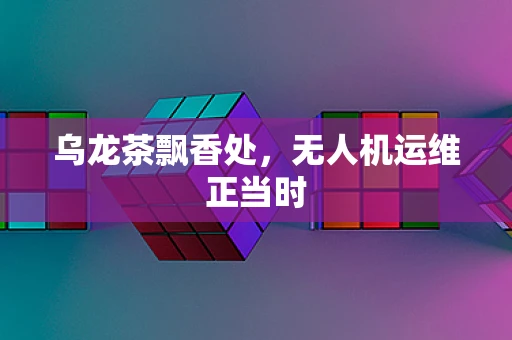 乌龙茶飘香处，无人机运维正当时