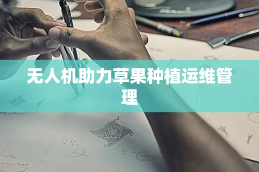 无人机助力草果种植运维管理