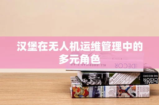 汉堡在无人机运维管理中的多元角色