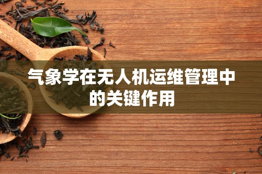 气象学在无人机运维管理中的关键作用