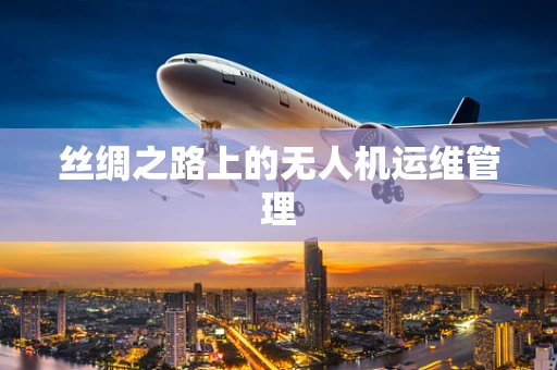 丝绸之路上的无人机运维管理