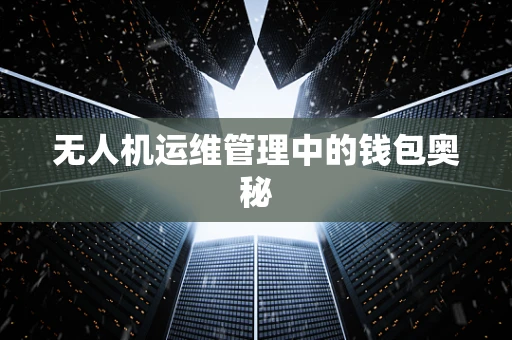 无人机运维管理中的钱包奥秘