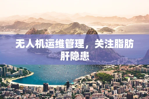 无人机运维管理，关注脂肪肝隐患